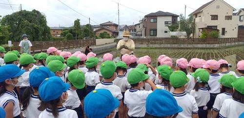 令和4年度　年長さんが田植えをしました　